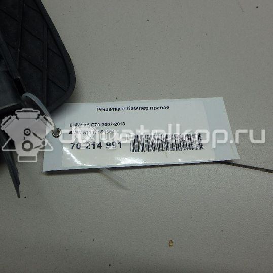 Фото Решетка в бампер правая  51117159594 для Bmw X5