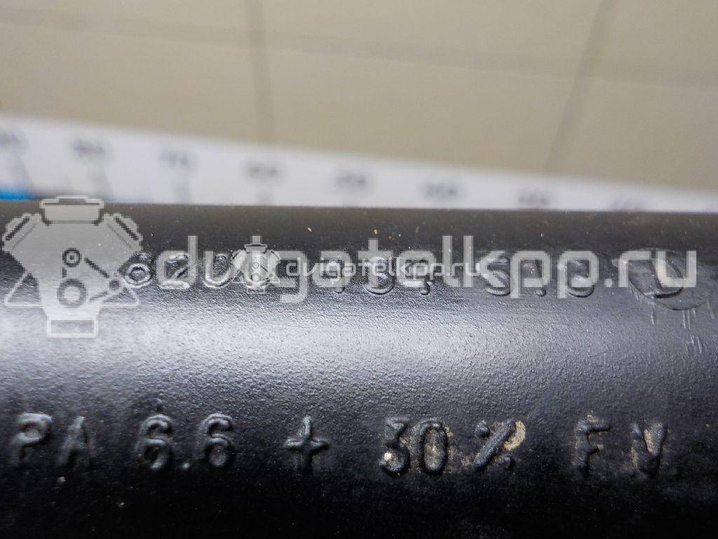 Фото Трубка системы охлаждения  8200134513 для vaz Lada Largus {forloop.counter}}