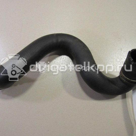 Фото Патрубок радиатора  3M5H8286BJ для volvo C30