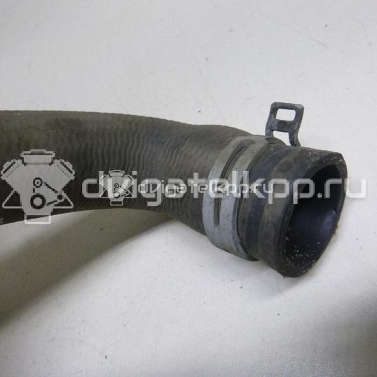 Фото Патрубок радиатора  1384145 для volvo C30