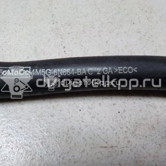 Фото Шланг вентиляции картер. газов  4M5G6N664BA для ford C-MAX