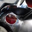 Фото Фонарь задний левый  31213554 для Volvo S40 {forloop.counter}}