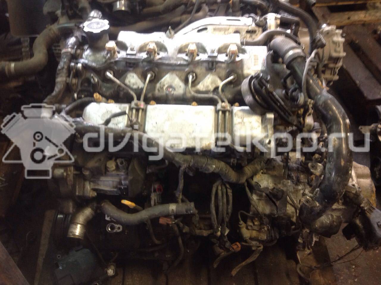 Фото Контрактный (б/у) двигатель 1C для Toyota Carina / Sprinter Carib / Sprinter / Liteace / Corolla 56-67 л.с 8V 1.8 л Дизельное топливо {forloop.counter}}