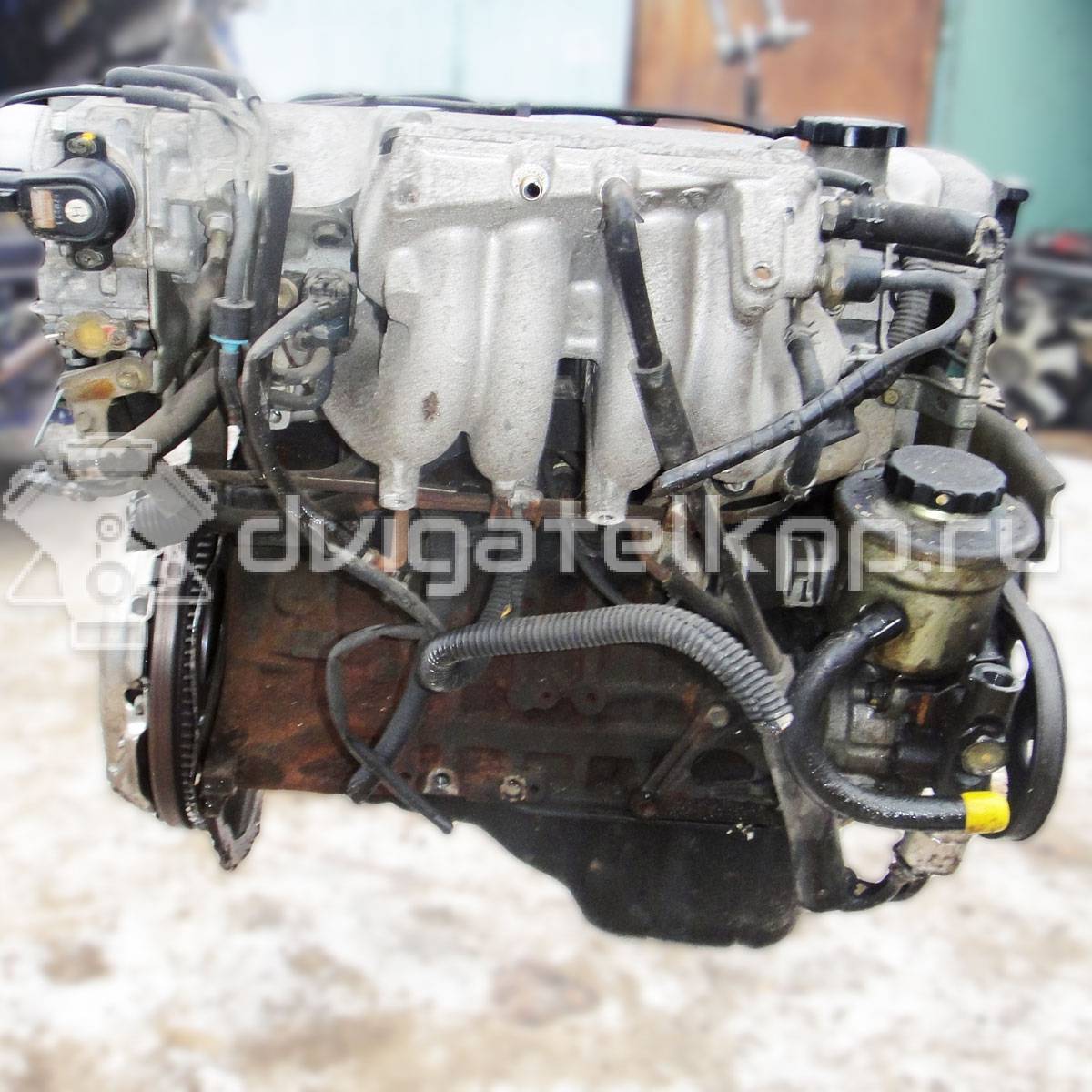 Фото Контрактный (б/у) двигатель 4A-FE для Toyota / Holden 90-185 л.с 16V 1.6 л бензин {forloop.counter}}