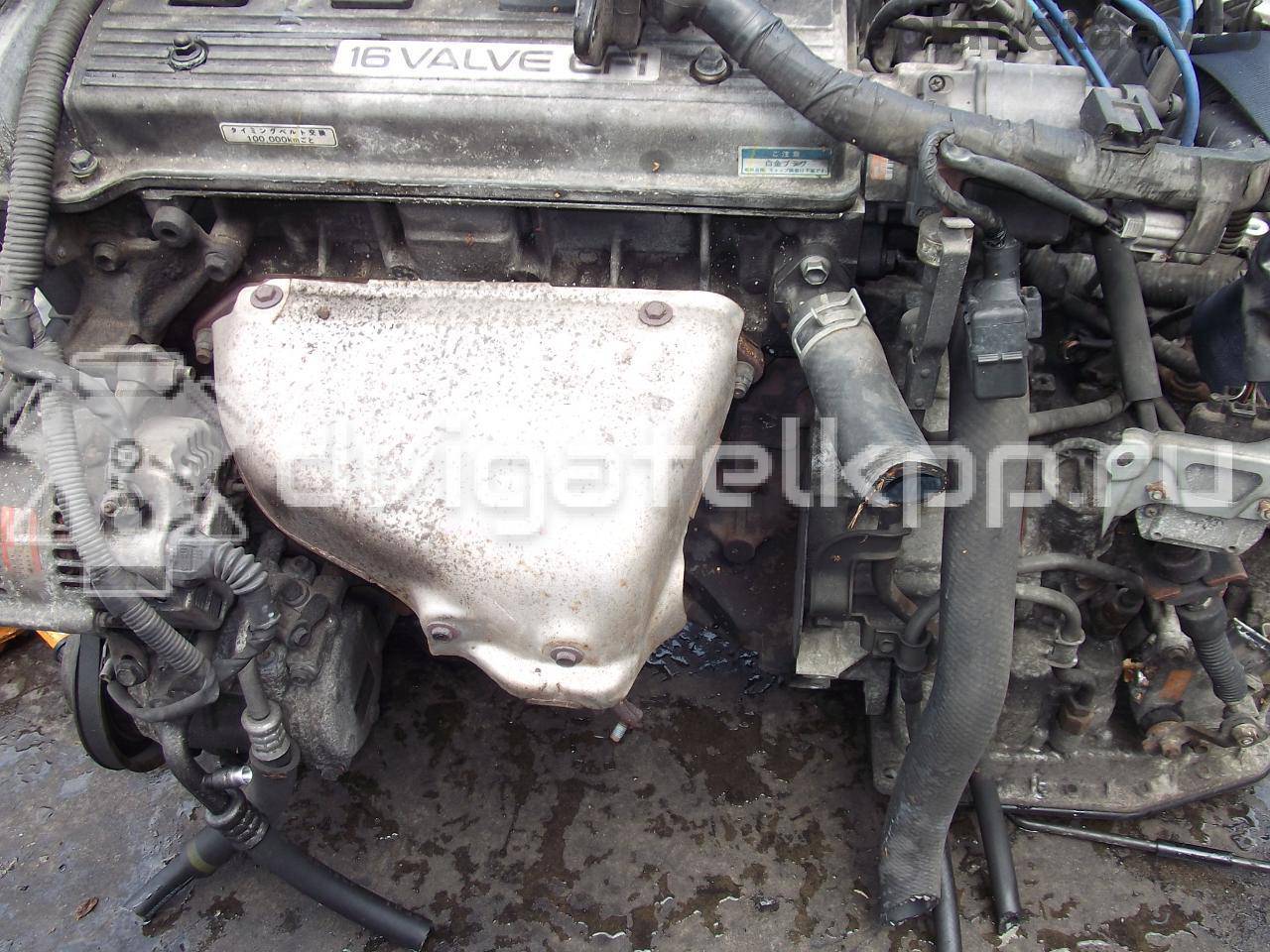 Фото Контрактный (б/у) двигатель 7A-FE для Toyota / Holden 125 л.с 16V 1.8 л бензин 1900002170 {forloop.counter}}