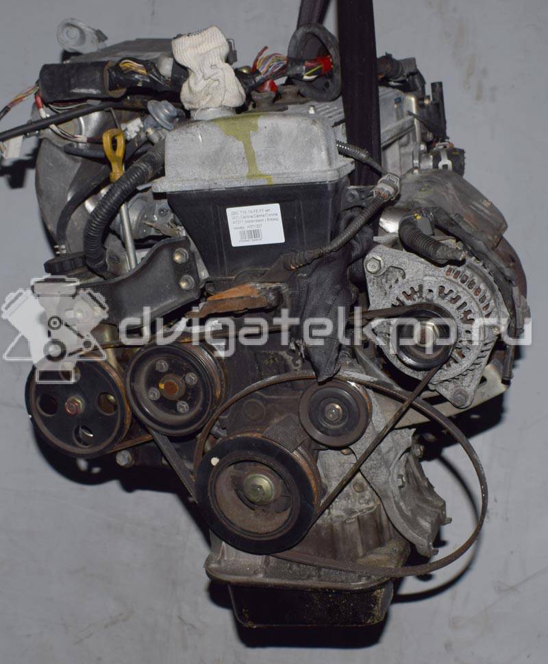 Фото Контрактный (б/у) двигатель 7A-FE для Toyota / Holden 125 л.с 16V 1.8 л бензин {forloop.counter}}