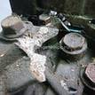Фото Контрактная (б/у) МКПП для Ford Australia / Effedi / Hyundai / Kia 88-105 л.с 16V 1.5 л D4FA Дизельное топливо 4300023240 {forloop.counter}}