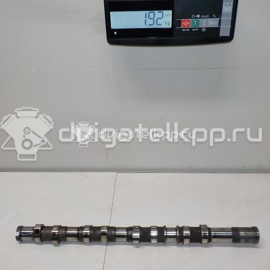 Фото Распредвал впускной для двигателя D4CB для Hyundai / Kia 140 л.с 16V 2.5 л Дизельное топливо 241004A000