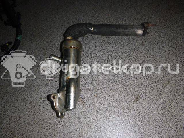 Фото Радиатор системы EGR для двигателя D4CB для Hyundai / Kia 129-178 л.с 16V 2.5 л Дизельное топливо 284804A480 {forloop.counter}}