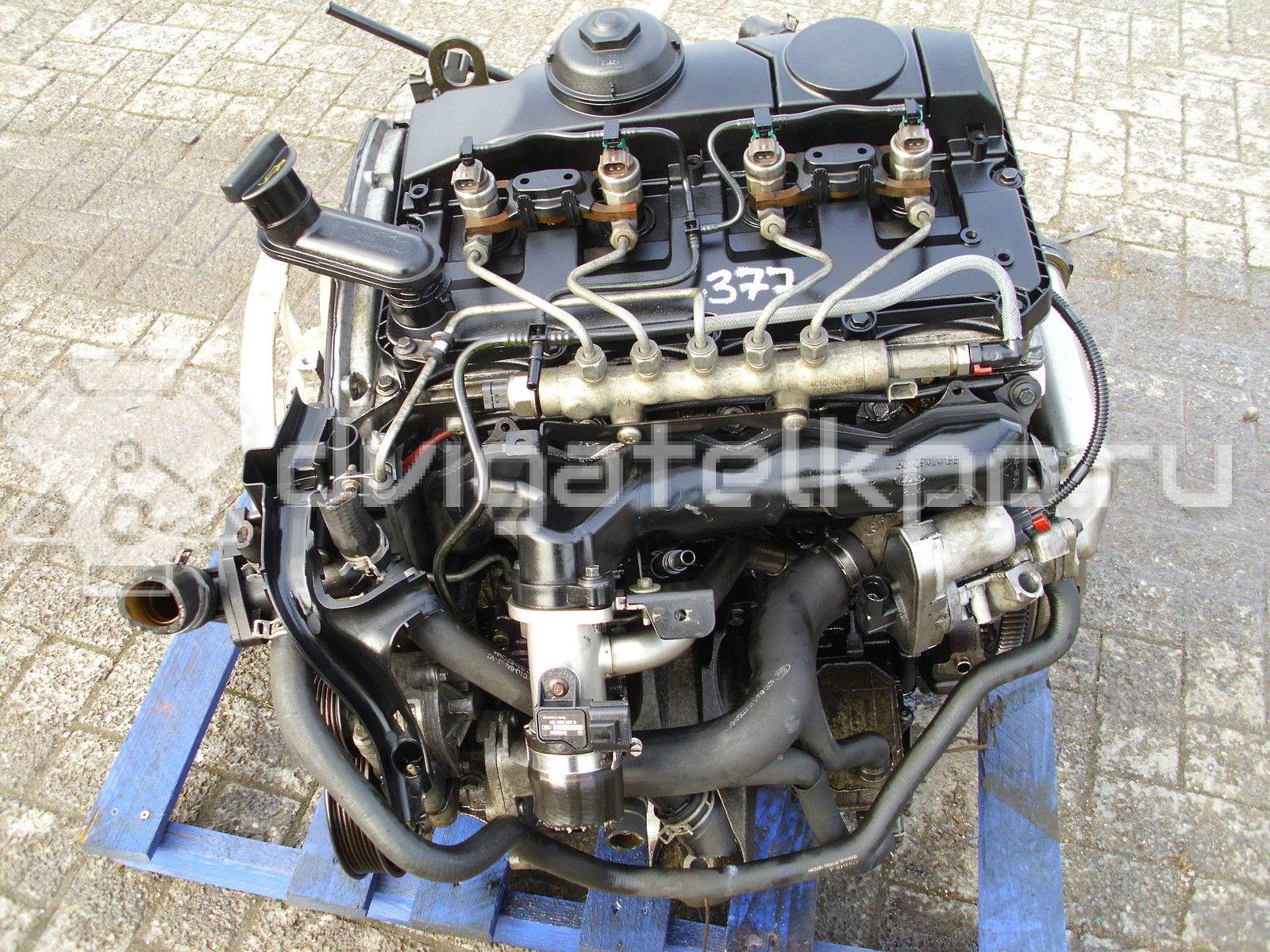 Фото Контрактный (б/у) двигатель JP для Volkswagen Jetta / Golf 54 л.с 8V 1.6 л Дизельное топливо {forloop.counter}}