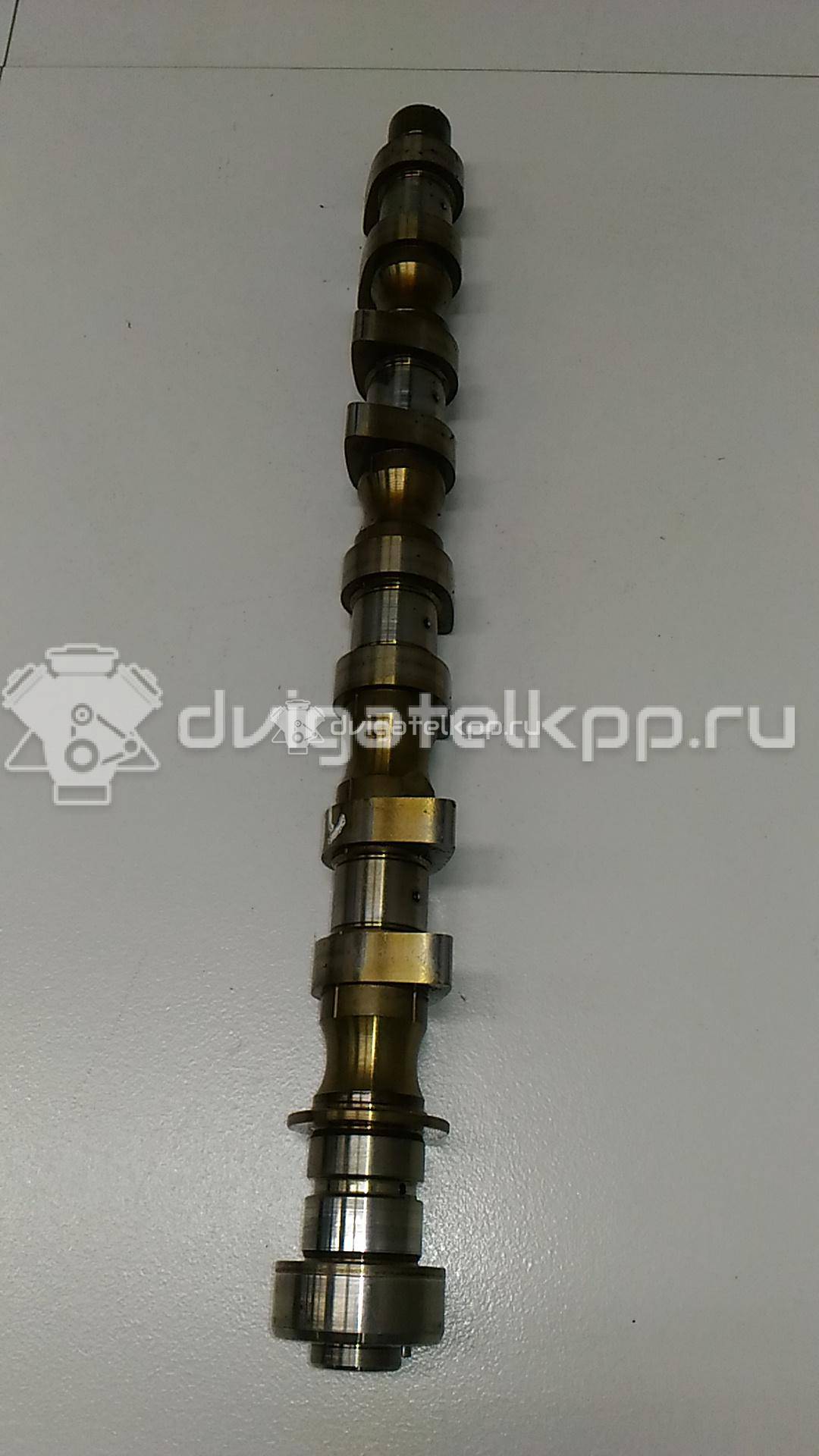 Фото Распредвал впускной  55561747 для Chevrolet / Buick / Buick (Sgm) / Holden / Daewoo {forloop.counter}}