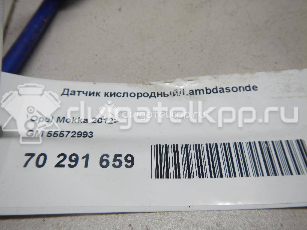 Фото Датчик кислородный/Lambdasonde  55572993 для Chevrolet Cruze / Trax / Aveo / Volt {forloop.counter}}