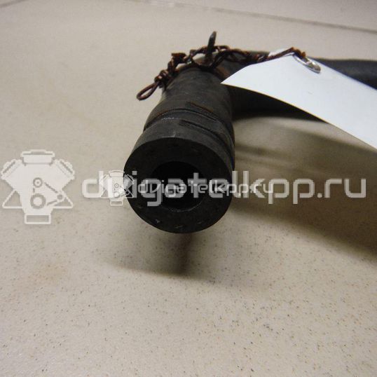 Фото Шланг  96549542 для chevrolet Lacetti