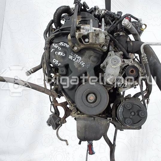 Фото Контрактный (б/у) двигатель G8DB для Ford Focus 109 л.с 16V 1.6 л Дизельное топливо