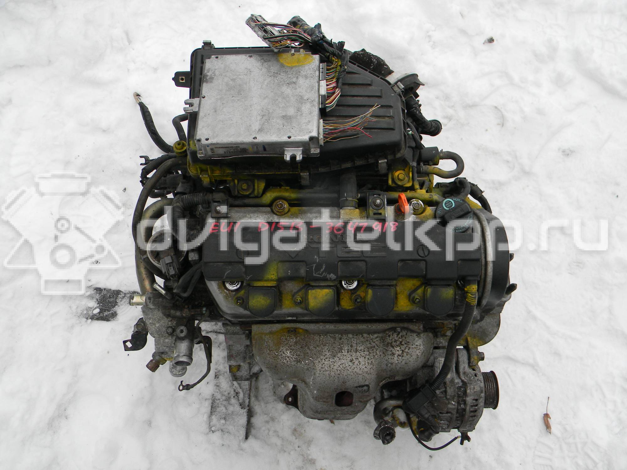 Фото Контрактный (б/у) двигатель D15B для Honda Civic / Integra / Orthia Partner El , Ey / Capa / City 90-131 л.с 16V 1.5 л бензин {forloop.counter}}