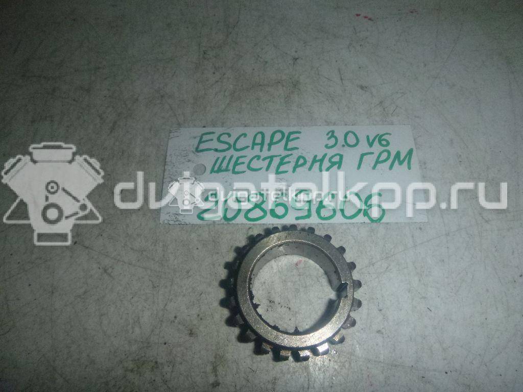 Фото Шестерня цепи ГРМ  1S7Z6306CA для ford america Escape {forloop.counter}}