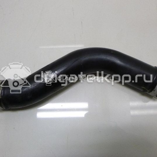 Фото Патрубок интеркулера для двигателя D4CB для Hyundai / Kia 110-175 л.с 16V 2.5 л Дизельное топливо 281654A104
