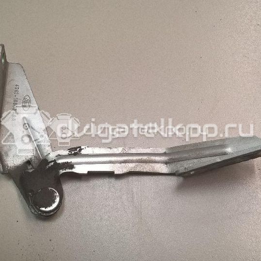 Фото Петля капота правая  1308148 для ford america Focus USA