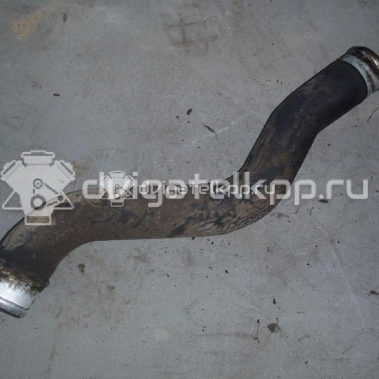 Фото Патрубок интеркулера для двигателя D4EA для Kia Carens 116 л.с 16V 2.0 л Дизельное топливо 2825627250