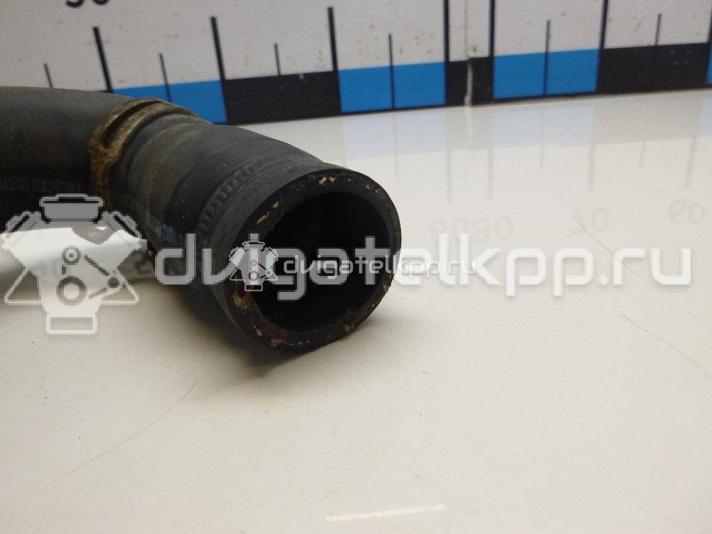 Фото Патрубок радиатора  1351hg для Citroen Berlingo {forloop.counter}}
