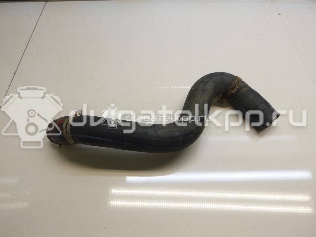 Фото Патрубок радиатора  1351hg для Citroen Berlingo {forloop.counter}}