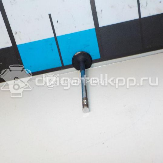 Фото Клапан выпускной  0949F6 для citroen Berlingo (NEW) (B9)