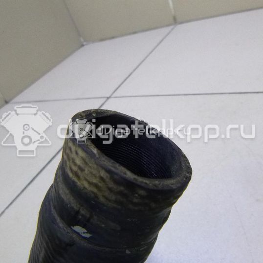 Фото Патрубок радиатора  1351ew для citroen C2
