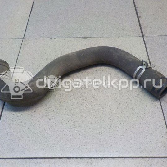 Фото Патрубок радиатора  1351EW для citroen C2