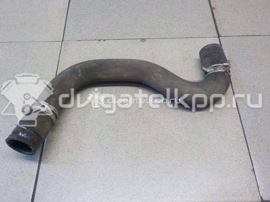 Фото Патрубок радиатора  1351EW для citroen C2 {forloop.counter}}