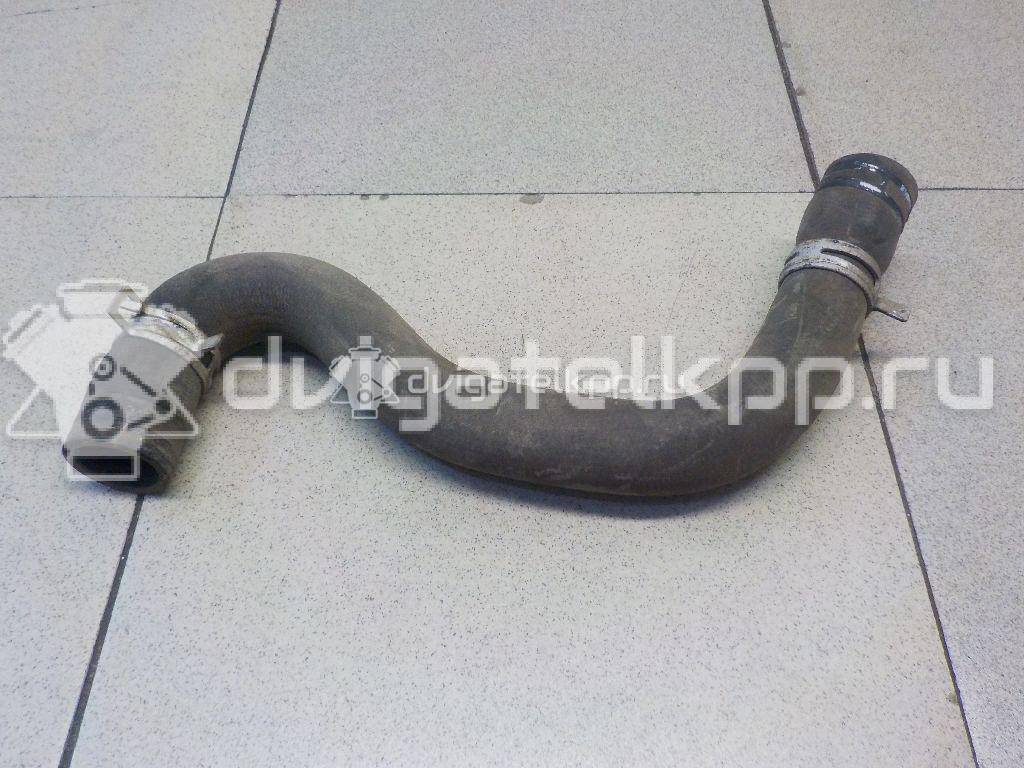 Фото Патрубок радиатора  1351EW для citroen C2 {forloop.counter}}