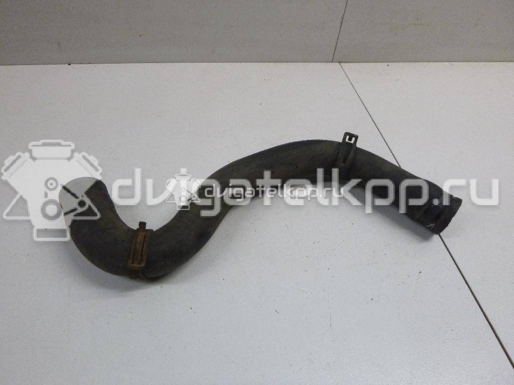 Фото Патрубок радиатора  1351EW для citroen C2 {forloop.counter}}