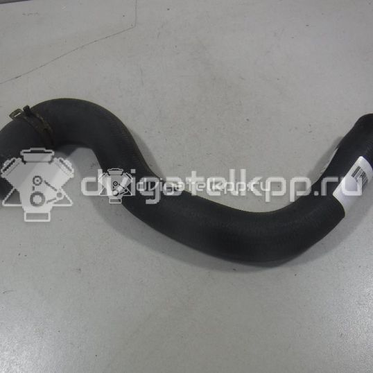 Фото Патрубок радиатора  1351EW для citroen C2