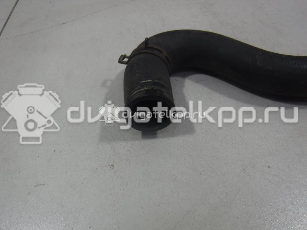 Фото Патрубок радиатора  1351EW для citroen C2 {forloop.counter}}