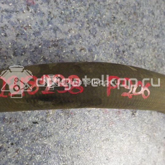 Фото Патрубок радиатора  1351EW для citroen C2