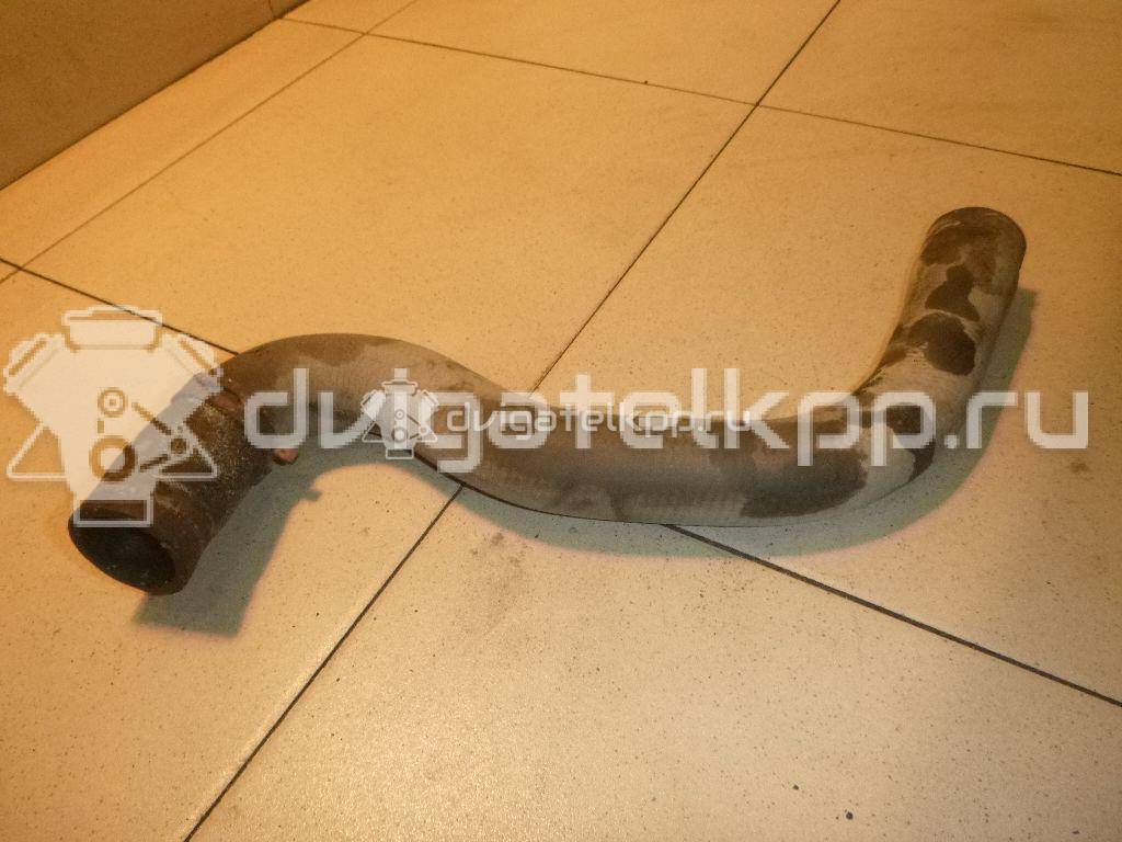 Фото Патрубок радиатора  1351EW для citroen C2 {forloop.counter}}