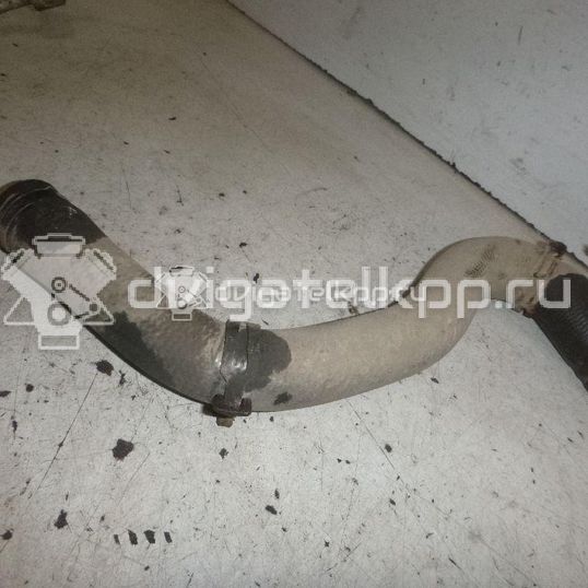 Фото Патрубок радиатора  1351EW для citroen C2
