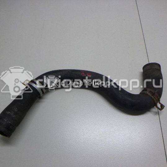Фото Патрубок радиатора  1351EW для citroen C2