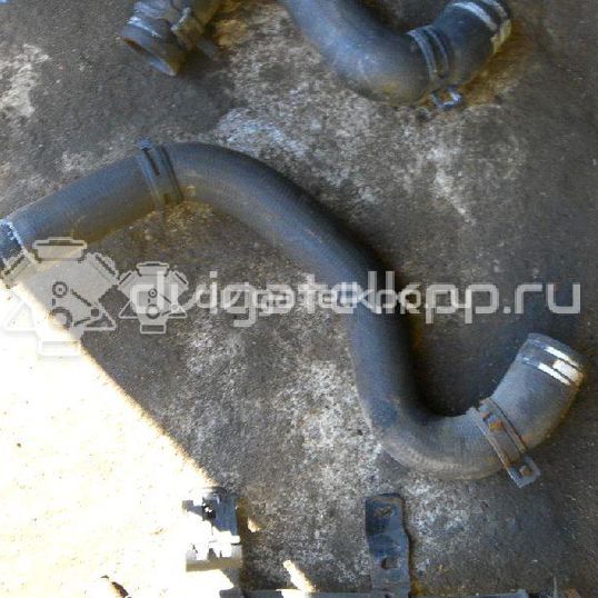 Фото Патрубок радиатора  1351EW для citroen C2