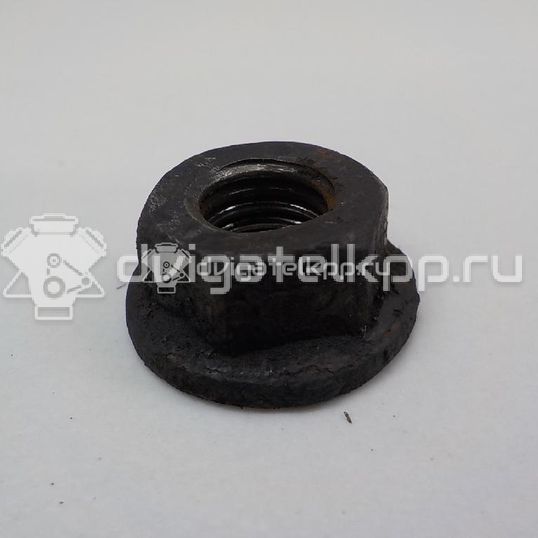 Фото Гайка  693686 для citroen C2