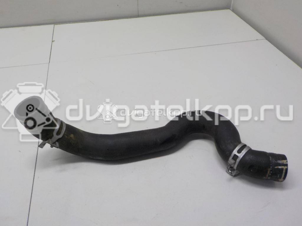 Фото Патрубок радиатора  1343CL для Citroen C5 {forloop.counter}}
