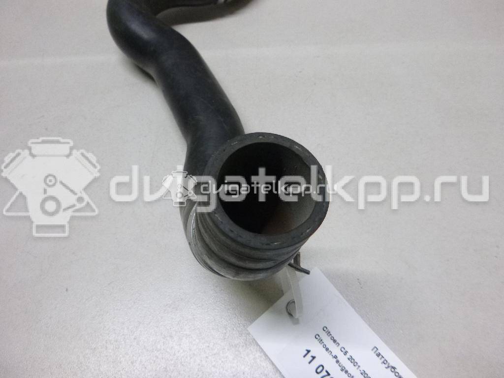 Фото Патрубок радиатора  1343cl для Citroen C5 {forloop.counter}}