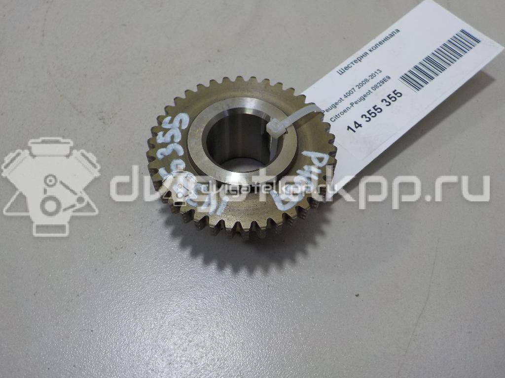Фото Шестерня коленвала  0829E9 для citroen C-Crosser {forloop.counter}}