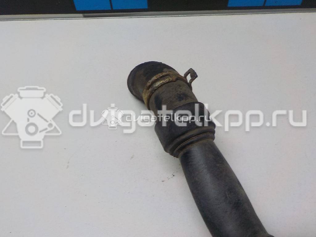 Фото Трубка системы охлаждения  1351CL для citroen Xsara {forloop.counter}}