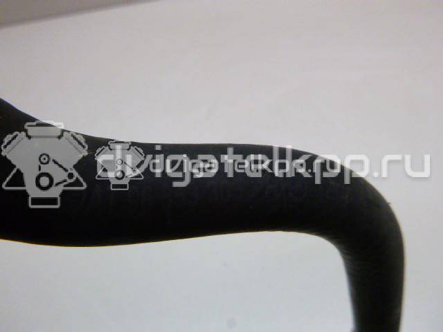 Фото Патрубок  96553305 для daewoo Gentra II {forloop.counter}}