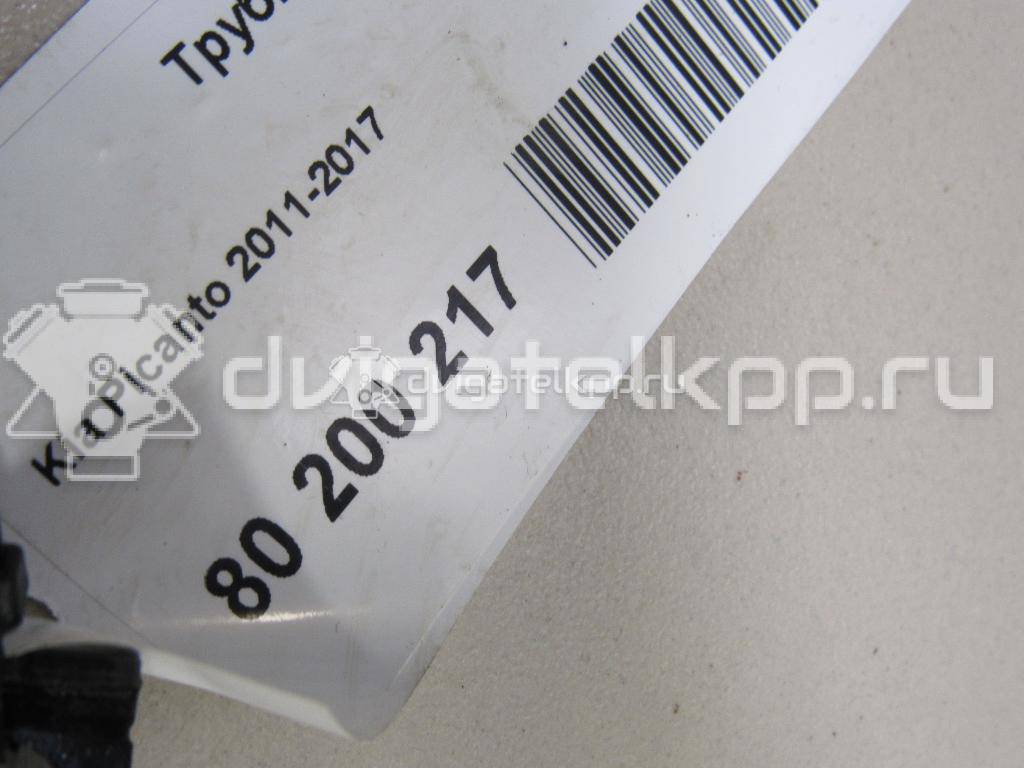 Фото Трубка вакуумная для двигателя G4LA для Hyundai / Kia 75-88 л.с 16V 1.2 л Бензин/газ 2835103550 {forloop.counter}}