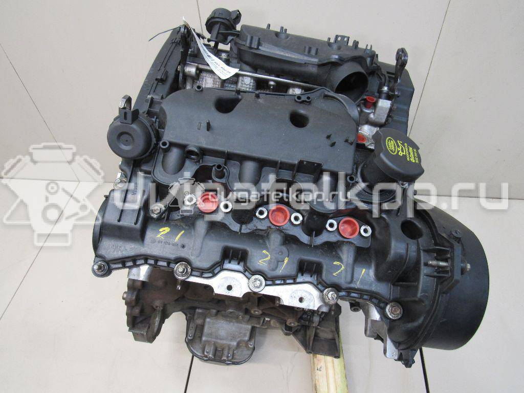 Фото Контрактный (б/у) двигатель 276DT для Ford Australia / Land Rover 190 л.с 24V 2.7 л Дизельное топливо LBB500390 {forloop.counter}}