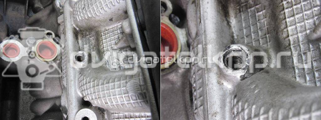 Фото Контрактный (б/у) двигатель 276DT для Ford Australia / Land Rover 190 л.с 24V 2.7 л Дизельное топливо LBB500390 {forloop.counter}}