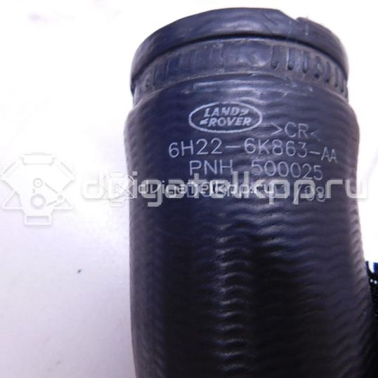 Фото Патрубок интеркулера для двигателя 276DT для Ford Australia / Land Rover 190 л.с 24V 2.7 л Дизельное топливо PNH500025