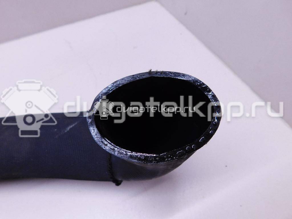 Фото Патрубок интеркулера для двигателя 276DT для Ford Australia / Land Rover 190 л.с 24V 2.7 л Дизельное топливо PNH500025 {forloop.counter}}