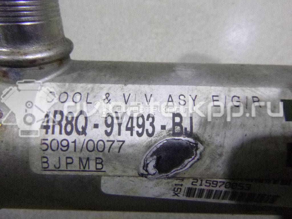 Фото Радиатор системы EGR для двигателя 276DT для Ford Australia / Land Rover 190 л.с 24V 2.7 л Дизельное топливо 1336563 {forloop.counter}}